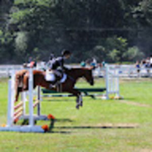 Meet your Posher, Dorothy